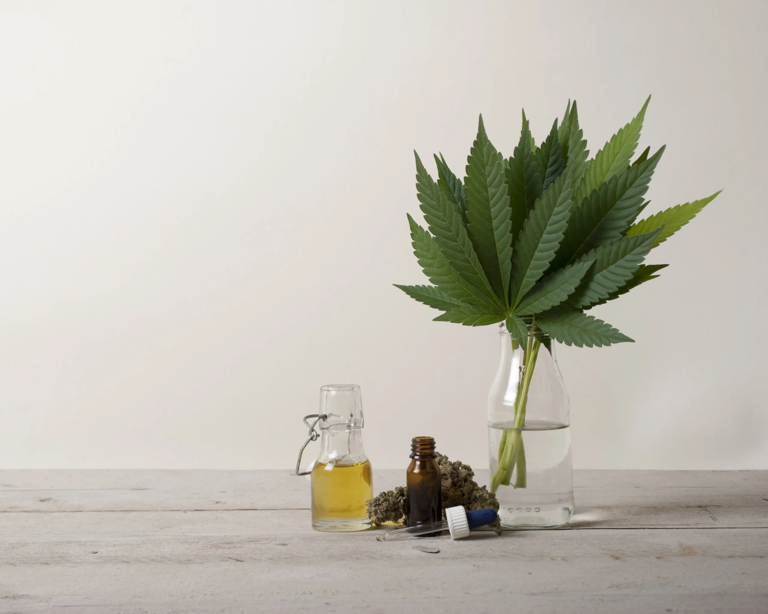 Aceite y hoja de cáñamo sobre una superficie neutra