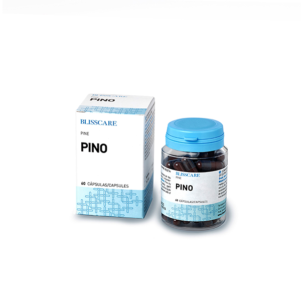 Pino